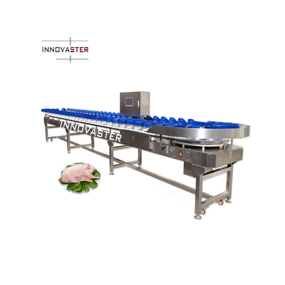 Máquina de classificação de frutas feijão ovos vegetais e frutos do mar para equipamentos da indústria alimentar