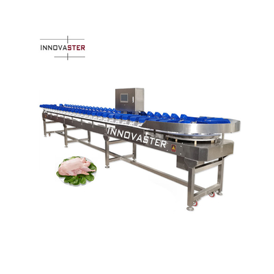 Máquina de classificação automática de peso de tomate alho cebola de aço inoxidável para bebidas alimentares