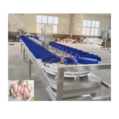 6000x1250x1750mm Máquina inteligente de classificação de peso de kiwi para classificação