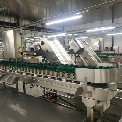 Máquina de triagem de peixe de ostra de peso rotativo de alta velocidade para processamento de carne