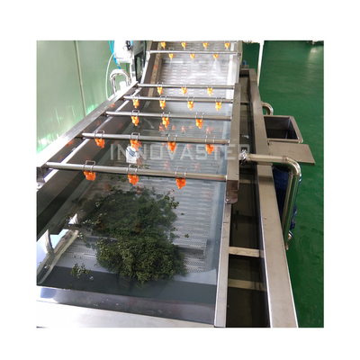 Linha de lavagem de bolhas de frutas e vegetais industriais com máquina de lavagem de água de ozônio
