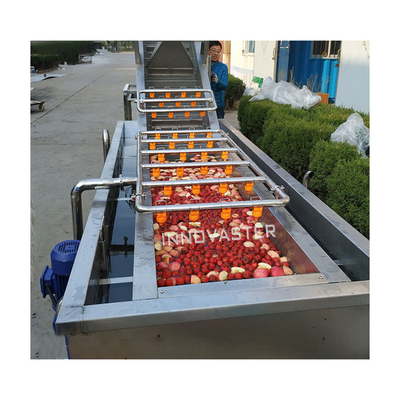 Reciclagem de água Máquina de lavar frutas e vegetais de tipo vórtice com projeto vantajoso