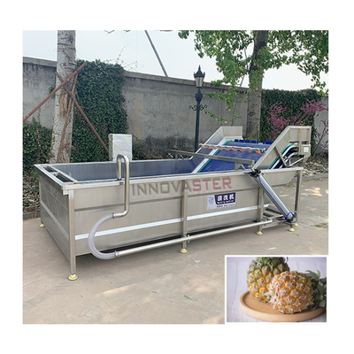 Tecnologia Máquina de lavagem de frutas de tomate Máquina de bolhas de ar Máquina de lavagem de vegetais para limpeza