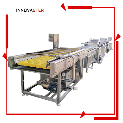 Máquina de limpeza de batatas industrial para limpeza de frutas e vegetais