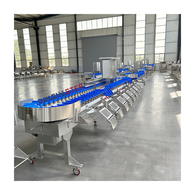 220V/380V Automático Pesca Ostras Vegetais Mango Abacate Pesador para o Mercado