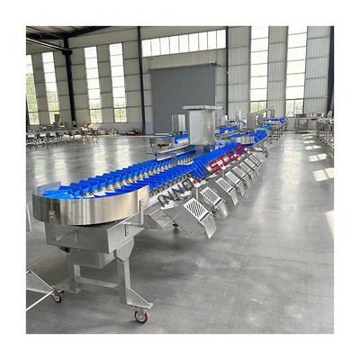 220V/380V Máquina automática de classificação de peso de pé de frango de pepino do mar para o mercado alimentar