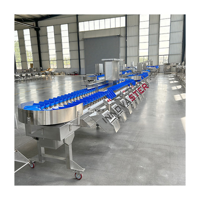 Equipamento da Indústria Alimentar Máquina Automática de Classificação de Peso de 2500W para Patas de Pés de Galinha