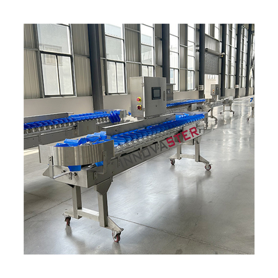 Máquina de classificação de frutas e legumes de última geração com tamanho 6000x1250x1750mm