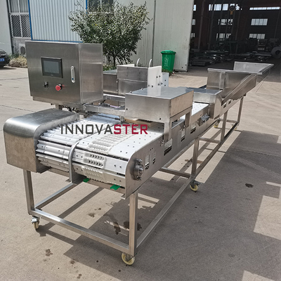 Máquina automática de fabricação de espinhos de carne de carne de carneiro para processamento de carne