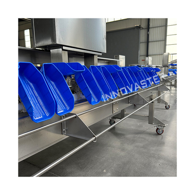 2500W Tray de legumes e frutos do mar Escala de pesagem Grader Linha de produção de carne de aves de capoeira