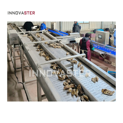 Máquina industrial de triagem por peso para a triagem de frutas, legumes, frutos do mar e ostras