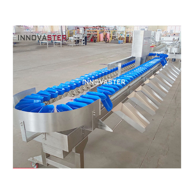 Máquina avançada de classificação automática de pés de frango de frutas e vegetais