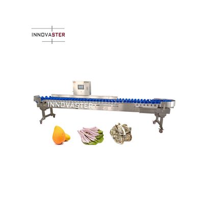220V/380V Cinturão transportador Balança de verificação Máquina de classificação de classificação para peixes camarões ostras Frutos do mar