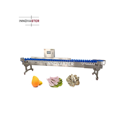 Pesadora automática de aço inoxidável para cebola de alho e tomate na restauração comercial
