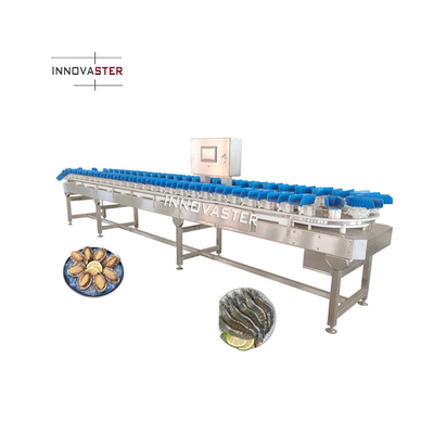 Máquina de classificação/sortagem de tomates de cerejeira de aço inoxidável 304 para variedades vermelhas e amarelas