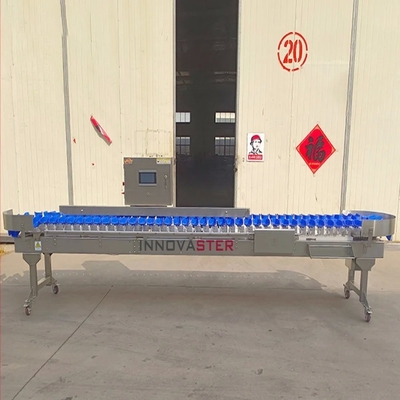 6000x1250x1750mm 304 de aço inoxidável Equipamento de triagem inteligente de filetes de peixe de cenoura