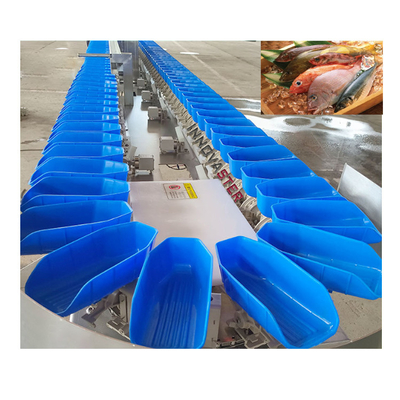 Equipamento de processamento de peixe Máquina de triagem de peso de ostras 220V/380V