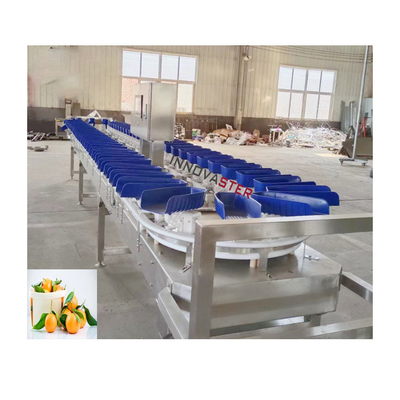 6000x1250x1750mm Máquina de classificação de peso de peixes congelados laranja de alta precisão