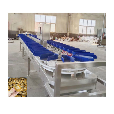 Máquina de classificação de peso de ostras para frutas e vegetais 6000x1250x1750mm