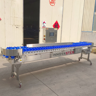 Máquina de classificação de peso de ostras para frutas e vegetais 6000x1250x1750mm