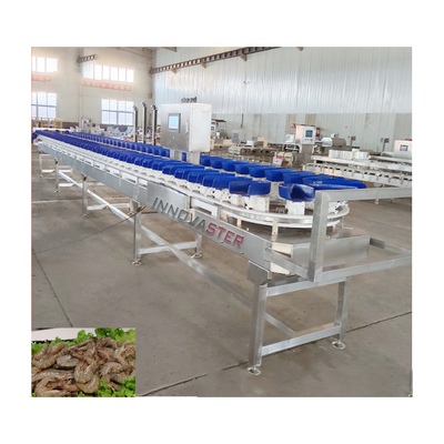 Incluída a máquina de triagem de peso de 500 kg para classificação de mangas na correia transportadora de alimentos congelados