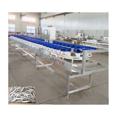 6000x1250x1750mm Perna de frango congelada/ala/Abalone Máquina de pesagem e triagem 500 kg