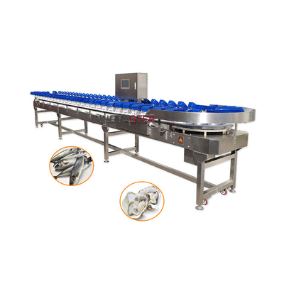 304 Equipamento da indústria alimentar de aço inoxidável Classificador de peso de ostras para triagem de camarão