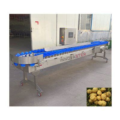 Máquina automática de classificação de peso para equipamentos da indústria alimentar 500 kg