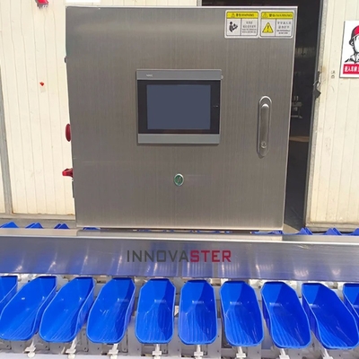 Máquina automática de classificação de peso para equipamentos da indústria alimentar 500 kg