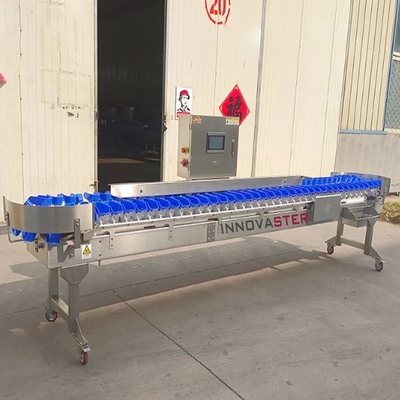 Máquina automática de classificação de peso para equipamentos da indústria alimentar 500 kg