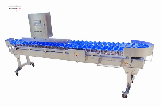 Simplifique o processo de classificação de peixe de ostras com a máquina de classificação de peso de multi-trajes