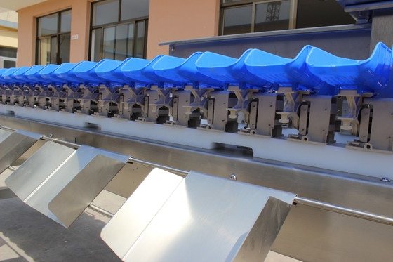 Simplifique o processo de classificação de peixe de ostras com a máquina de classificação de peso de multi-trajes