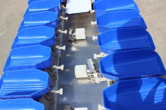 Simplifique o processo de classificação de peixe de ostras com a máquina de classificação de peso de multi-trajes