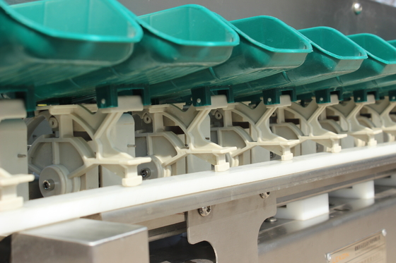 Simplifique o processo de classificação de peixe de ostras com a máquina de classificação de peso de multi-trajes