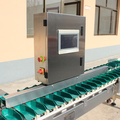 Máquina automática de classificação de peso de frango para classificação