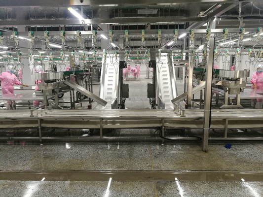 Máquina de triagem de peixe de ostra de peso rotativo de alta velocidade para processamento de carne