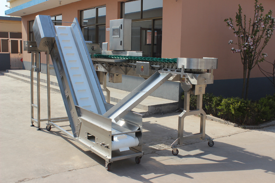 Máquina de triagem de peixe de ostra de peso rotativo de alta velocidade para processamento de carne