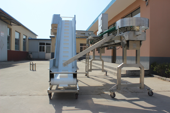 Máquina de triagem de peixe de ostra de peso rotativo de alta velocidade para processamento de carne