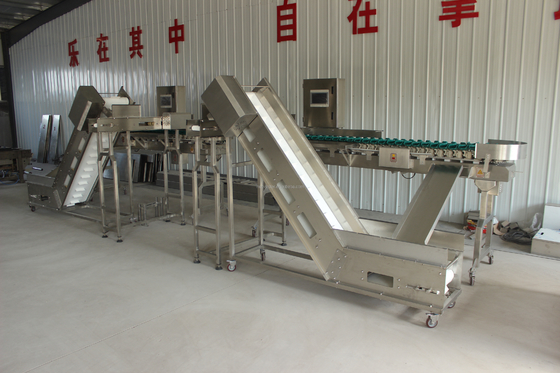 Máquina de triagem de peixe de ostra de peso rotativo de alta velocidade para processamento de carne