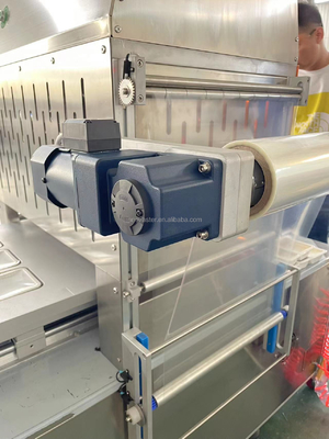 Máquina de embalagem em atmosfera modificada para alimentos RTE em caixas