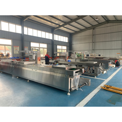 Depende da máquina de embalagem a vácuo de câmara de modelagem para carne e arroz de frutos do mar