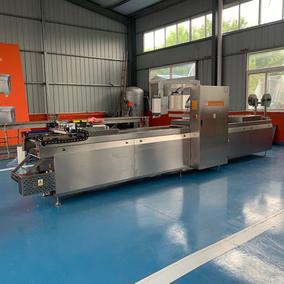 Máquina de embalagem a vácuo de termoformação de alimentos para cães com estrutura metálica